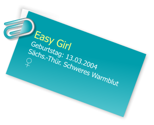 Easy Girl Geburtstag: 13.03.2004 Schs.-Thr. Schweres Warmblut ♀